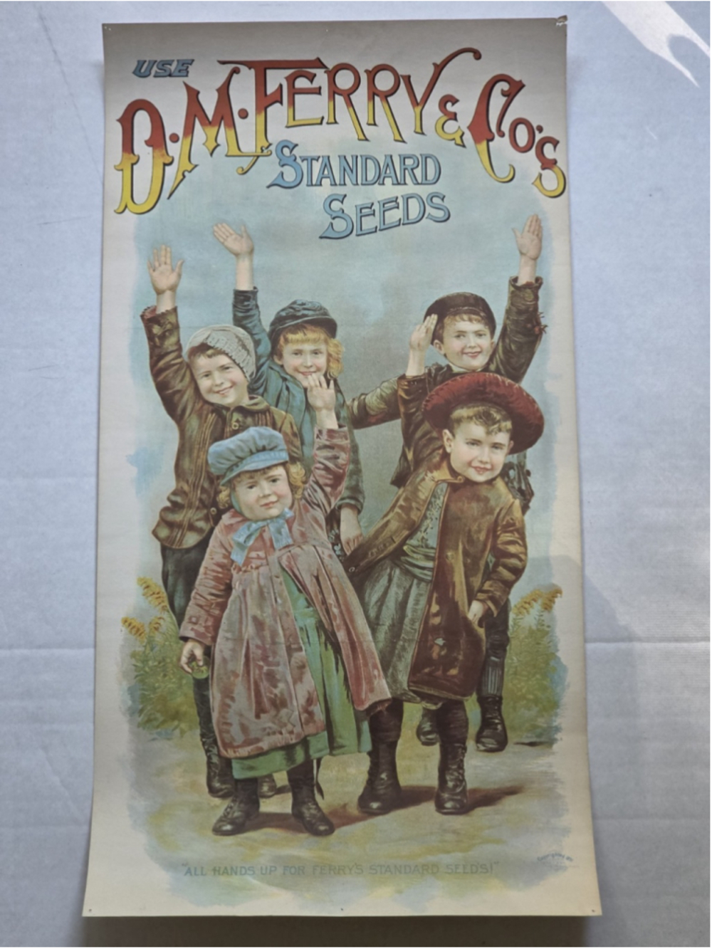 Vintage D.M. Ferry & Co Standard Seeds Poster Print "All Hands Up" 12.5"x24"